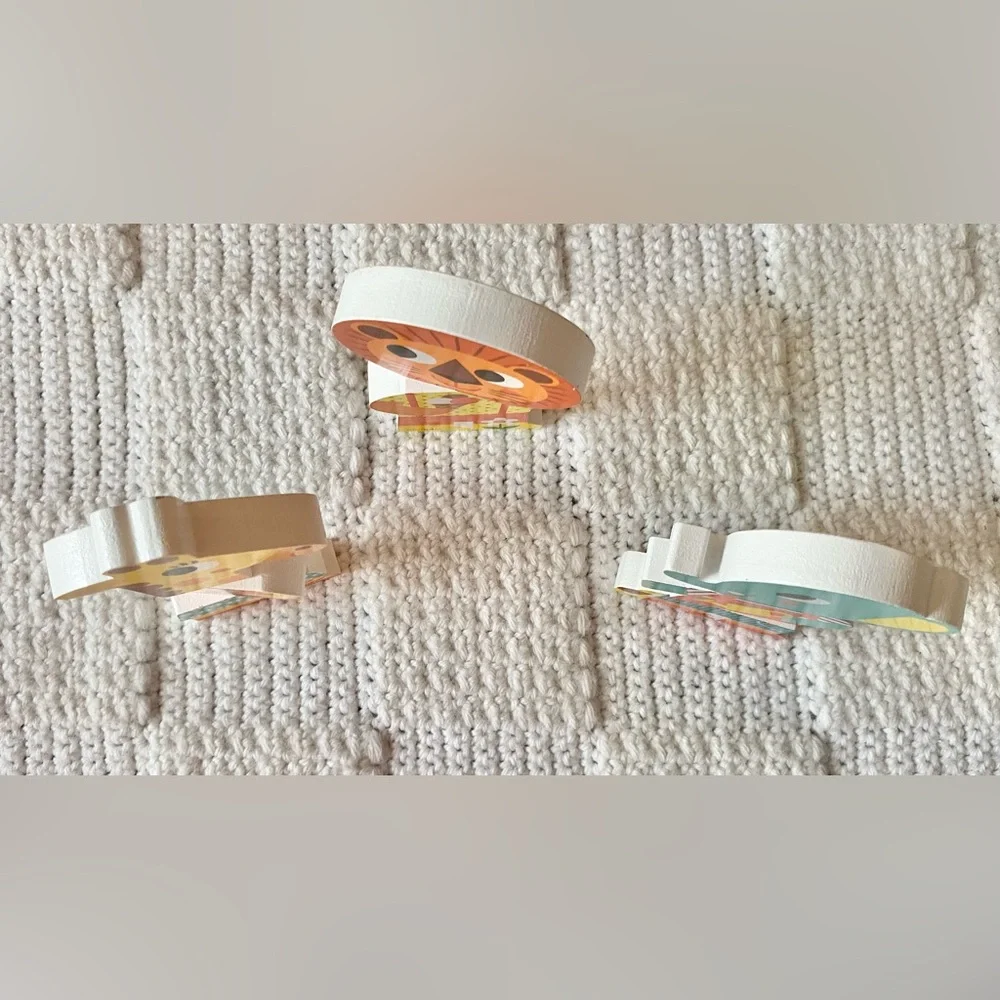 Janod Wooden Magnetic Toy